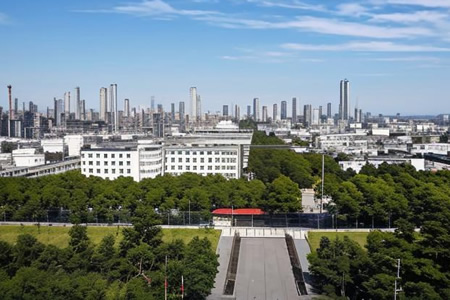 扬子石化顺丁橡胶装置检修影响分析